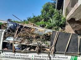 Best Shed Removal  in Florence, AL